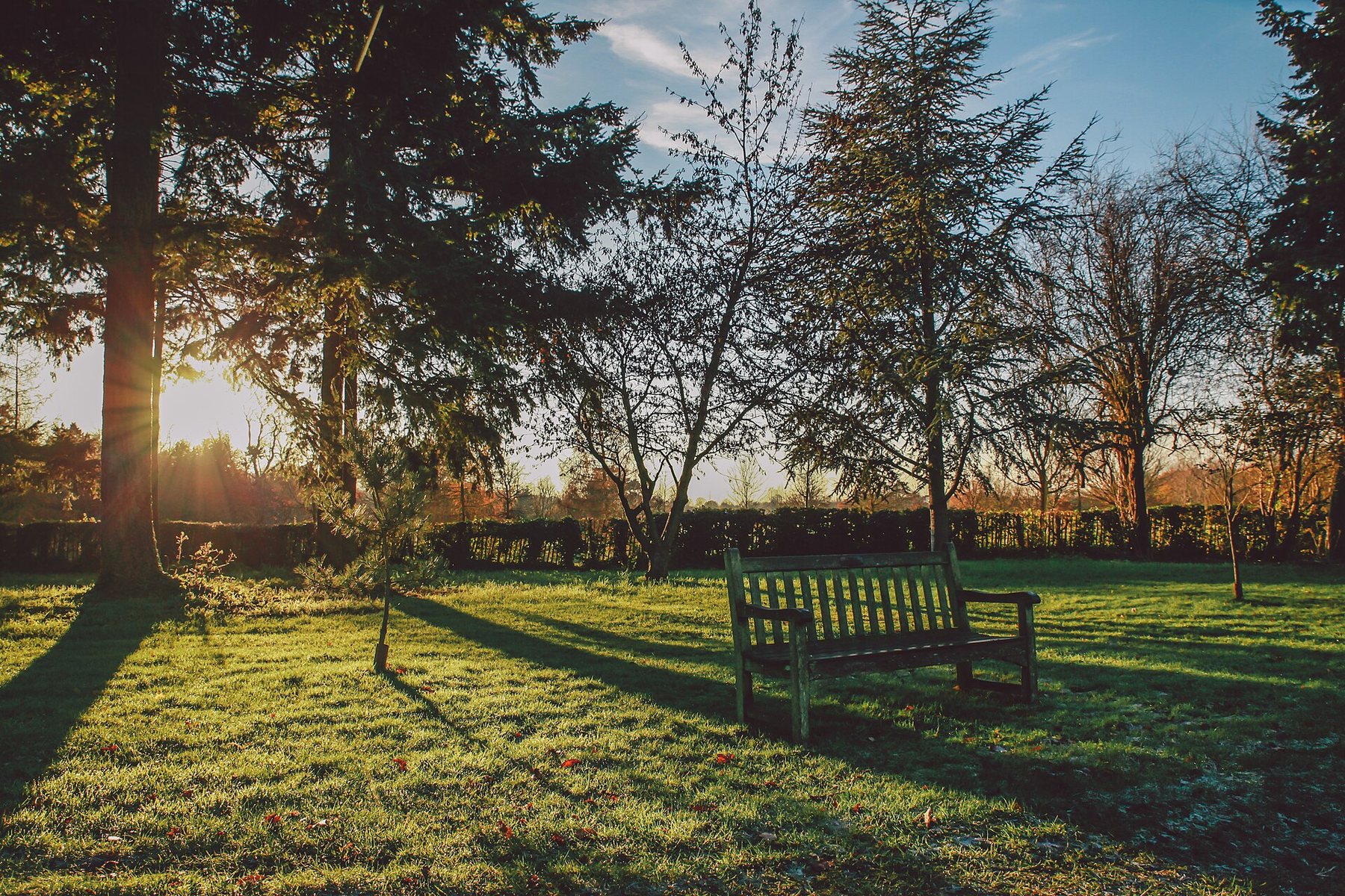Home Public park with benches and trees